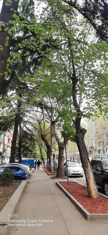 Comfy Apartment Tbilisi Exterior photo